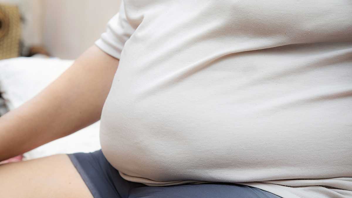 Un estudio de la Universidad de Virginia descubrió que 14 genes podrían causar la obesidad. 