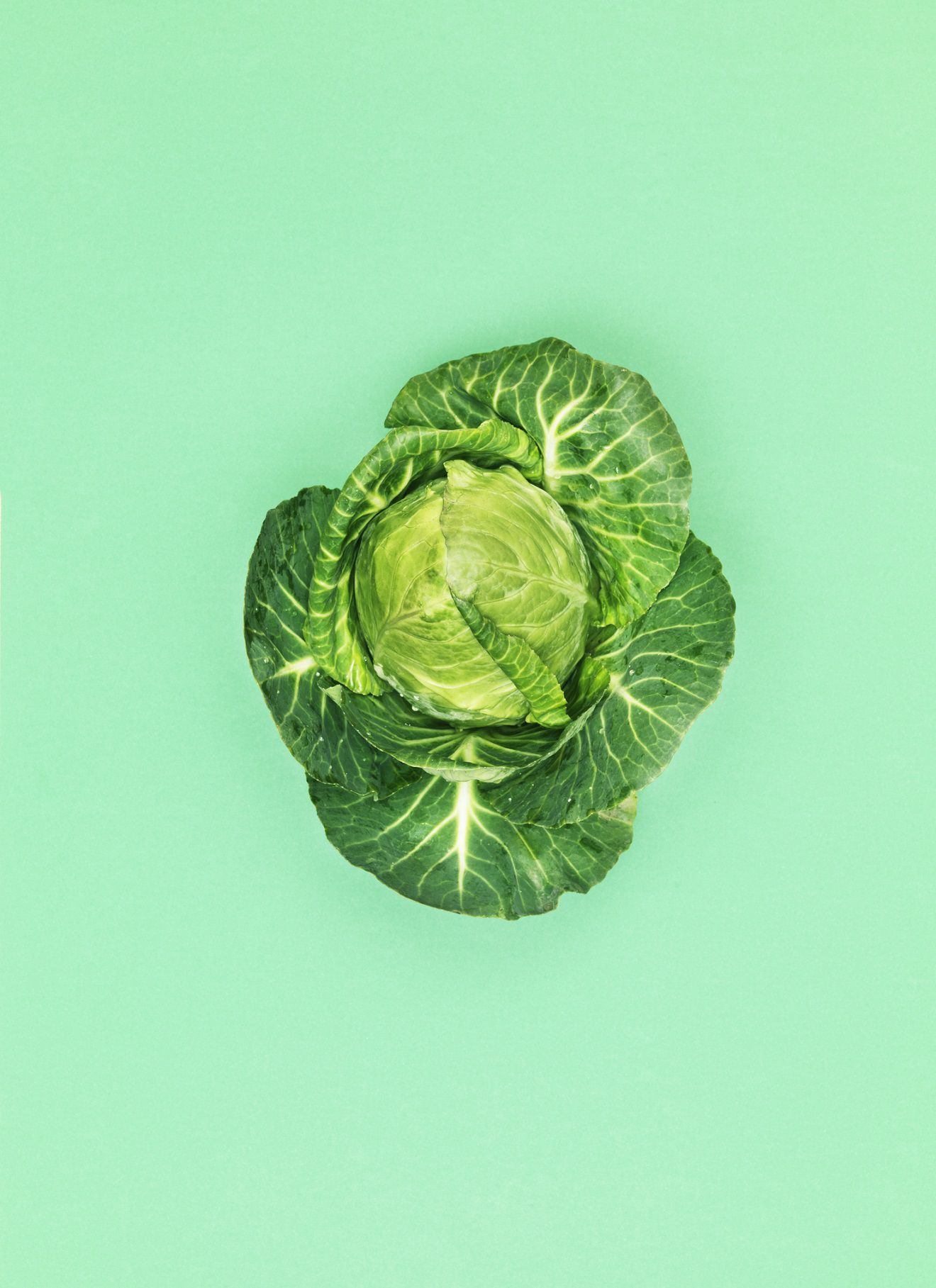 Judía verde: beneficios, El superalimento sin nada de grasa que controla  la hipertensión, el colesterol y depura el organismo