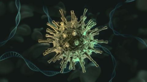 Foto de referencia sobre el coronavirus