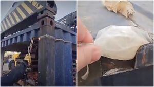 Así encontraron impresionante cantidad de cocaína líquida en las paredes de un contenedor que iba para España