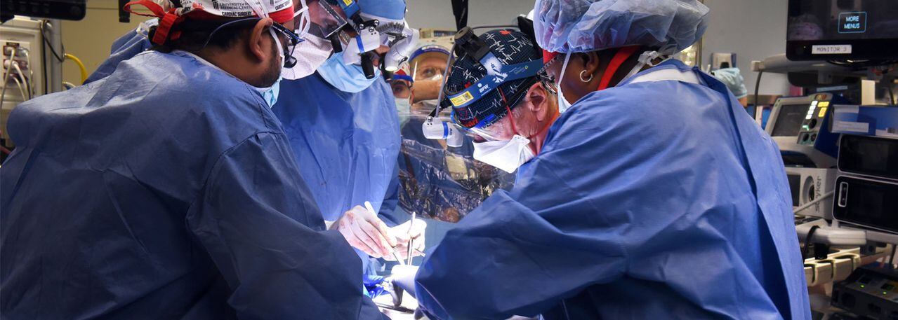Cirujanos trasplantaron el corazón de un cerdo modificado genéticamente al de un hombre, en Estados Unidos.