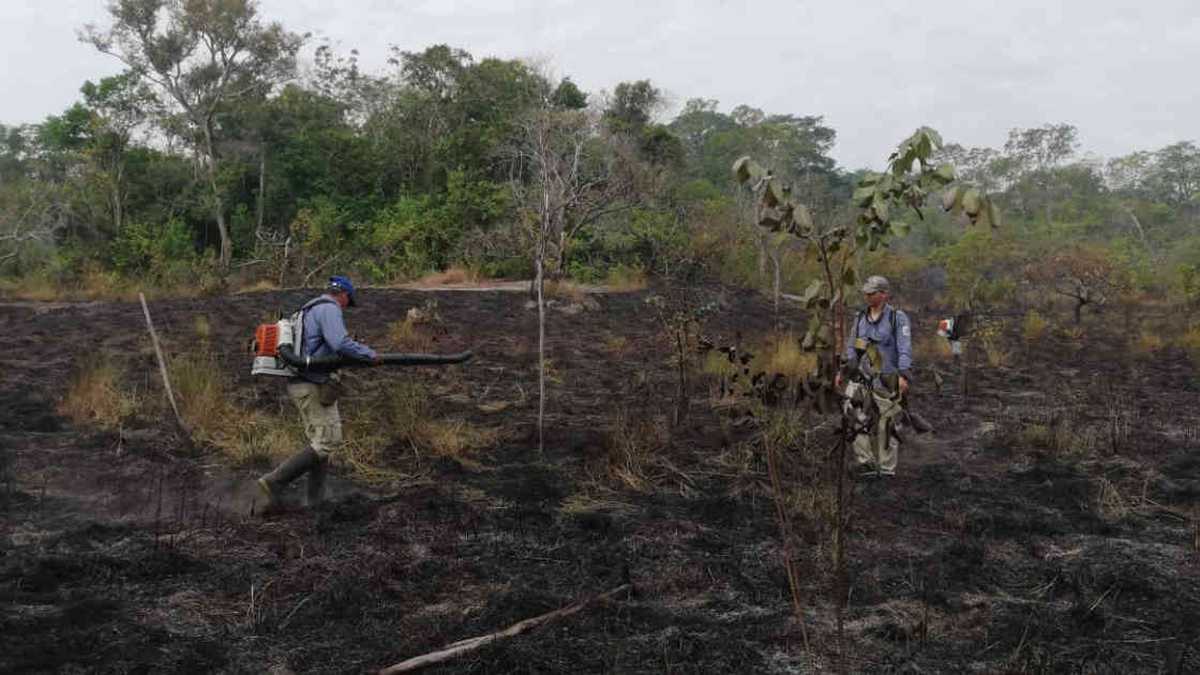 Guardaparques vienen ayudando a la extinción del incendio en el Parque Nacional El Tuparro. Foto: Parques Nacionales Naturales.