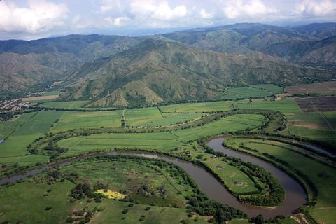 Por su ubicación privilegiada, entre las cordilleras Central y Occidental, y su amplia variedad de pisos térmicos, el Valle del Cauca se consolida como la región líder en la producción agroindustrial del país.