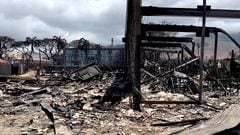 Los fuegos han asolado más de 800 hectáreas de terreno en dos islas del archipiélago estadounidense