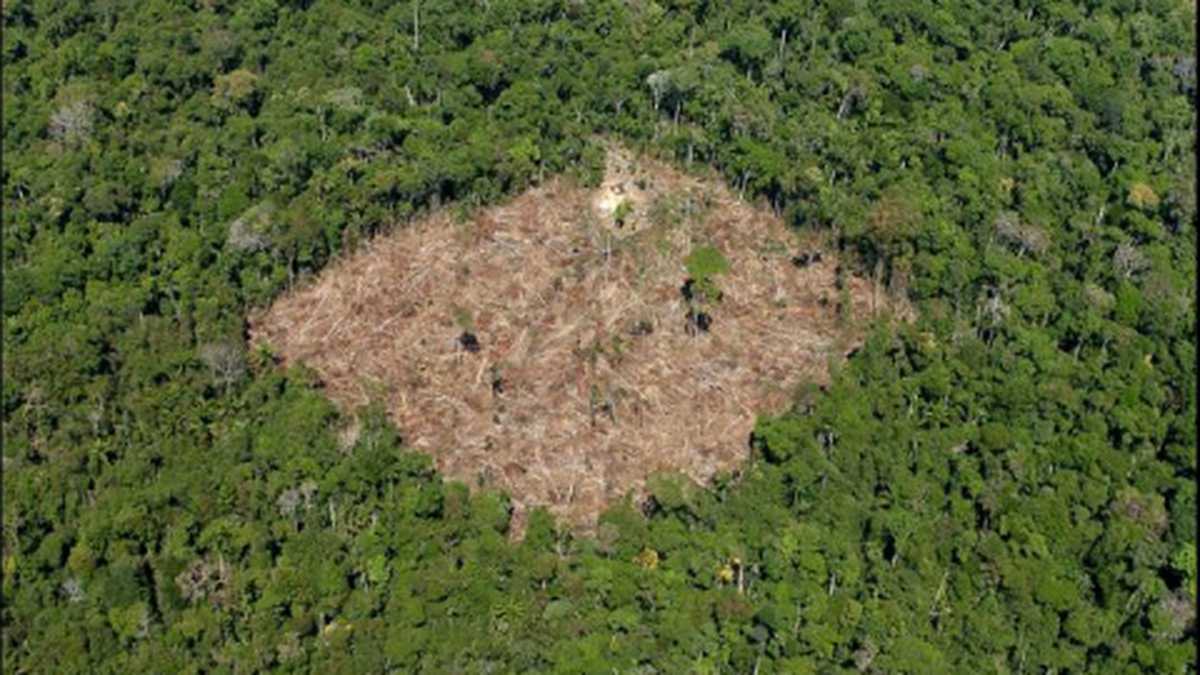 Foco de deforestación en la amazonía colombiana.