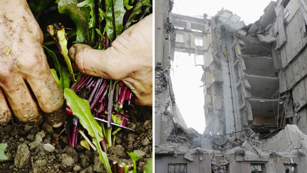 La guerra en Ucrania ha desencadenado varias consecuencias, con apenas un mes de haberse iniciado, una de ellas el encarecimiento de alimentos