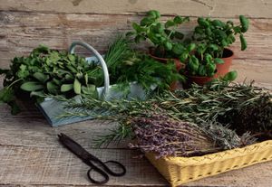 Baskets of lavender, sage, chives, dill, and other herbs stand beside potted basil plants.