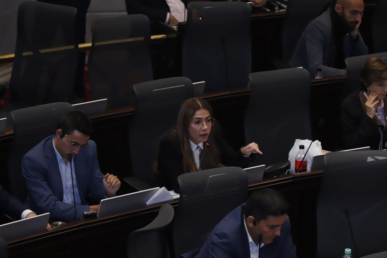 Catherine Juvinao Clavijo
Miembro en la Cámara de Representantes