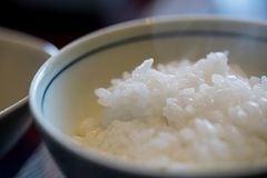 El arroz es un grano que se cultiva ampliamente en todo el mundo y se conoce en diferentes variedades.