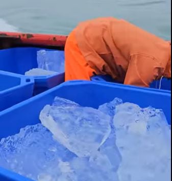 El hielo es trasladado a Emiratos Árabes Unidos