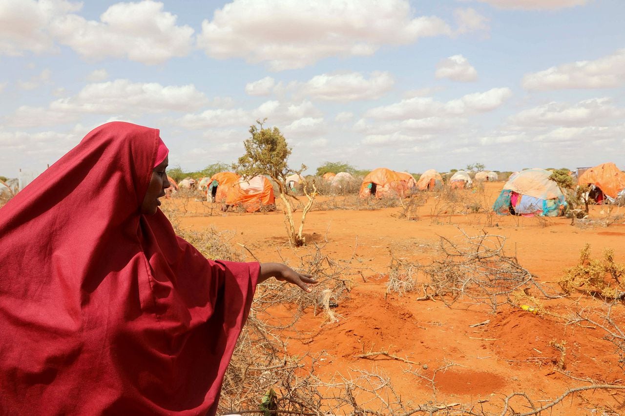 En imágenes : Mientras crece el hambre en Somalia, los bebés comienzan a morir