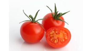 El tomate ayuda al buen  funcionamiento del cuerpo y del sistema inmunitario. Foto:  Getty Images.