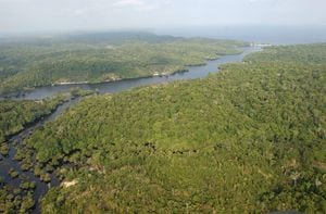 El estado más afectado, con 13.641 focos, es el de Mato Grosso, que se extiende por gran parte de la Amazonía.