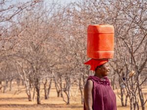 Namibia rural - 21 de agosto de 2016. Una mujer de Namibia regresa a su aldea sin agua, con un recipiente de plástico con agua potable en la cabeza, un ejemplo de los crecientes problemas de la falta de agua potable y los efectos del cambio climático.