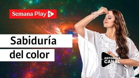 Sabiduría del color | Antonina Canal en Sí puedo y es fácil