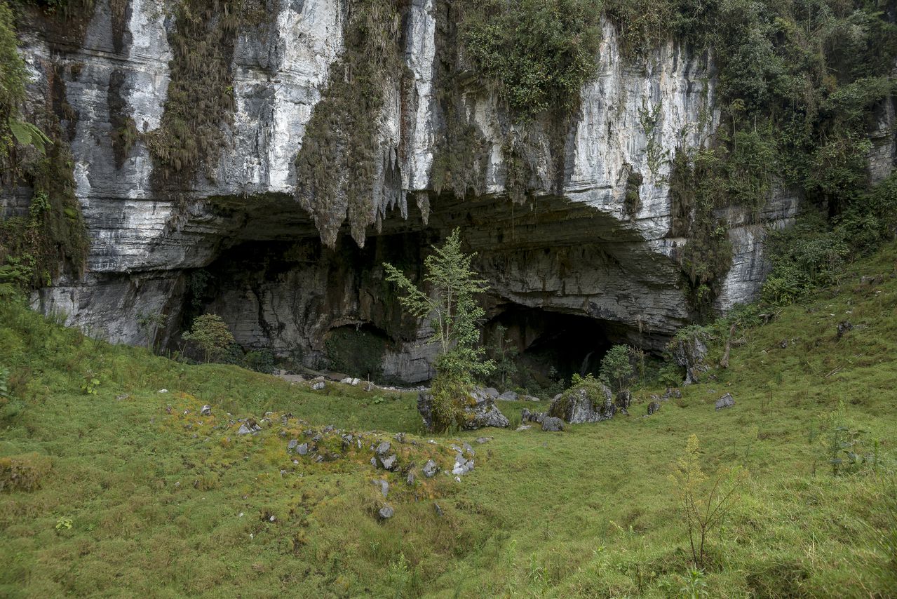 Se calcula que en Colombia existen 1.500 cavernas, que se han convertido en importantes refugios para murciélagos, varias especies de arañas, aves y plantas endémicas.