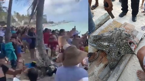 Tiburón atacó a una mantarraya  en playa de San Andrés