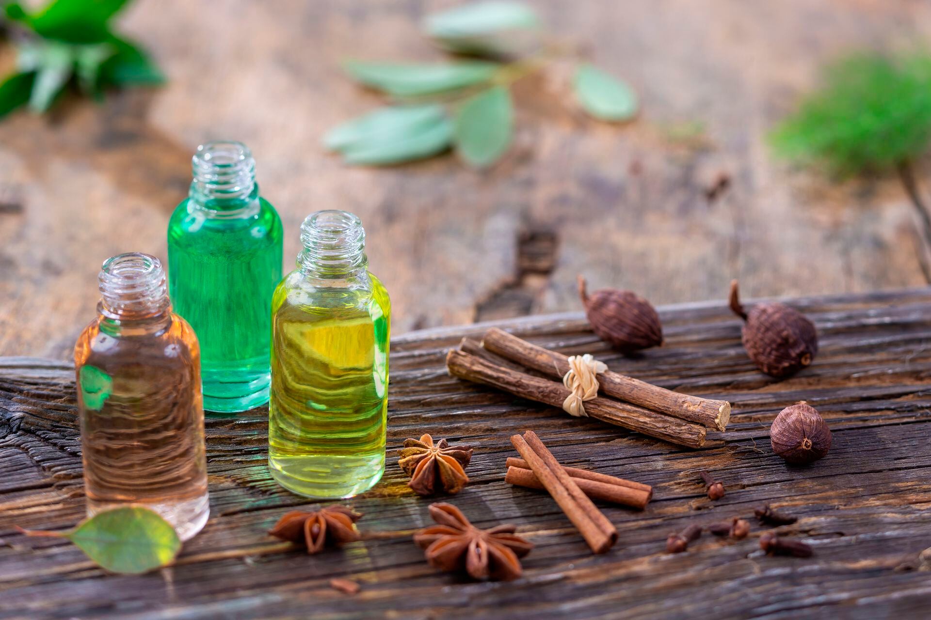 Usos, beneficios y preparación del aceite de clavo de olor