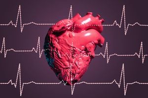 Para que el corazón goce de una buena salud es importante que las arterias y venas estén limpias para que la sangre fluya normalmente.