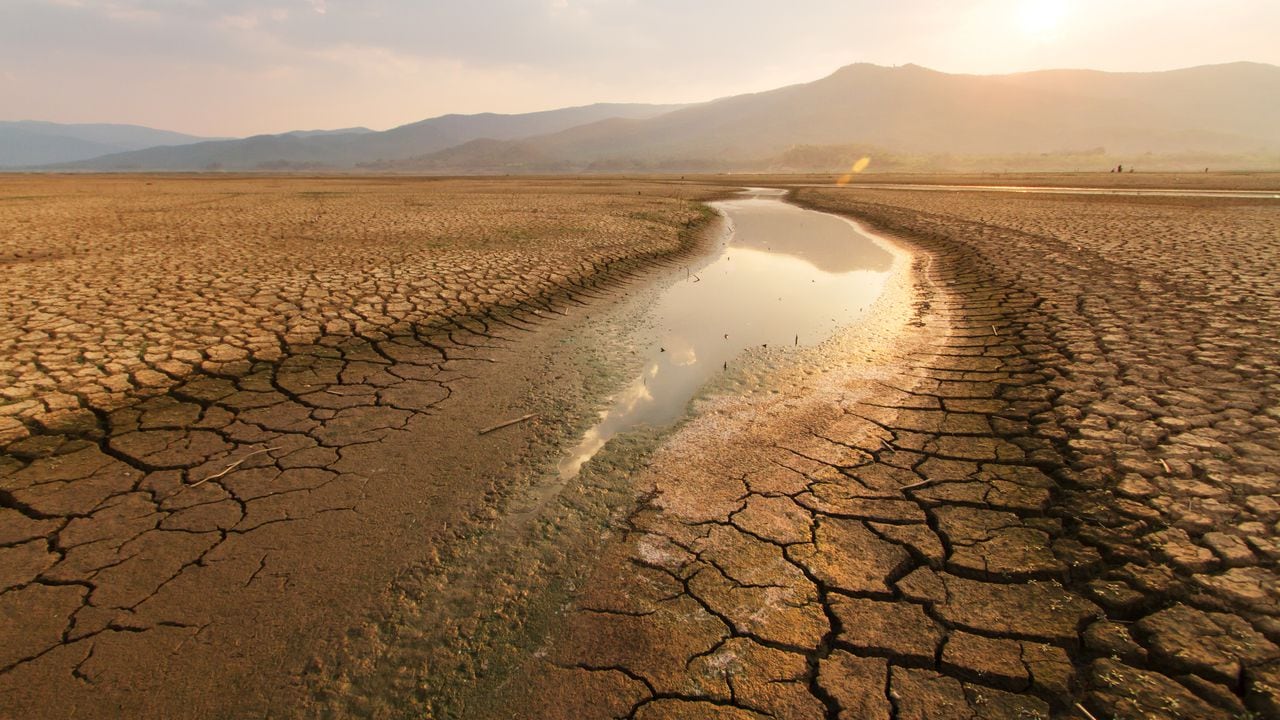 Sequía / Fenómeno del El Niño