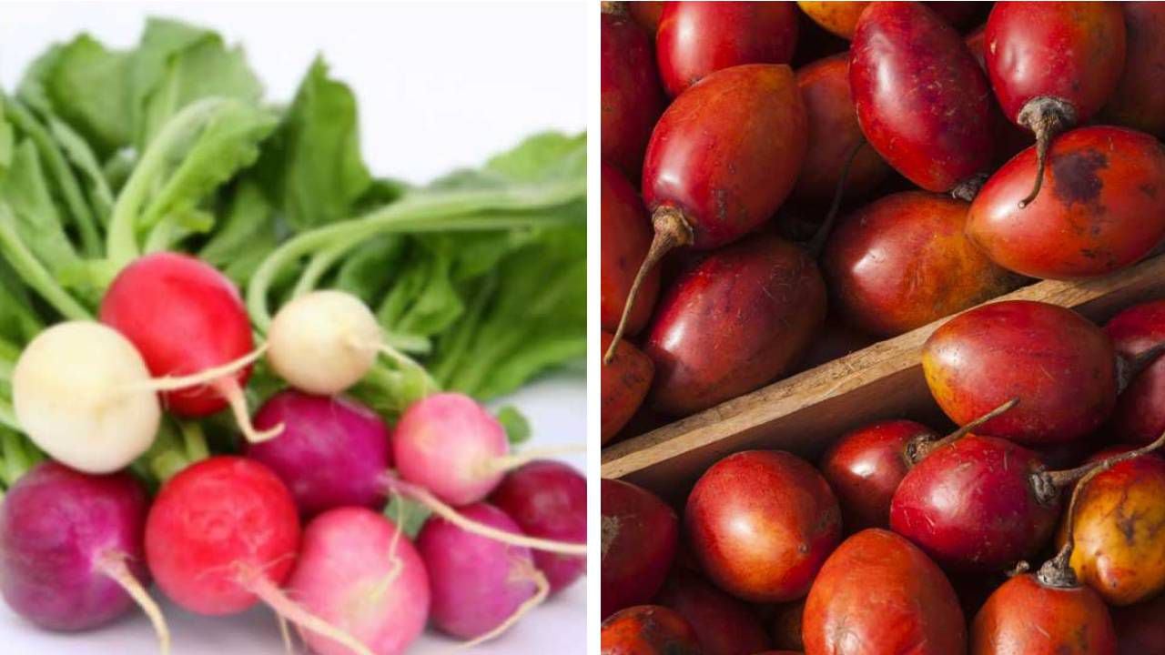 El rábano y el tomate de árbol contienen nutrientes y vitaminas que aportan beneficios al organismo. Foto: montaje SEMANA.