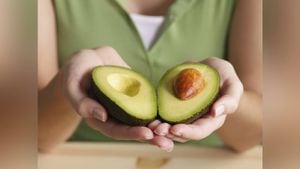 El aguacate es importante para incluir en la dieta para la salud del cerebro, pues  sus grasas monoinsaturadas mejoran la comunicación neuronal. Foto: Gettyimages.