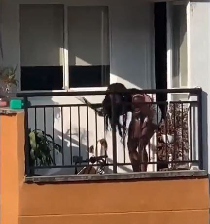 En el video de la denuncia se claramente cómo la mujer golpea con un objeto contundente a la perrita mientras está amarrada a la reja del balcón.