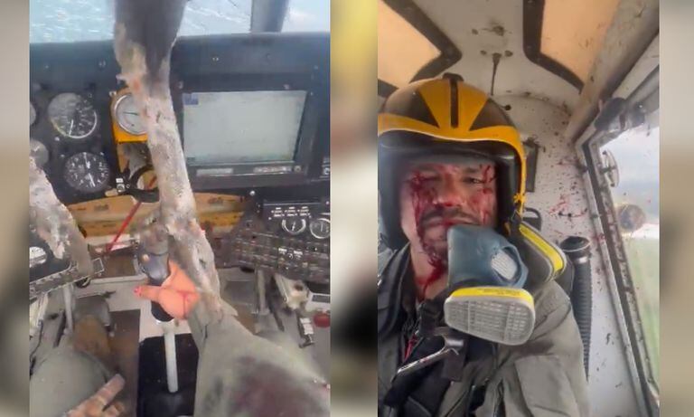 Fuerte video muestra las consecuencias de ave que se estrelló contra un helicóptero en Ecuador.