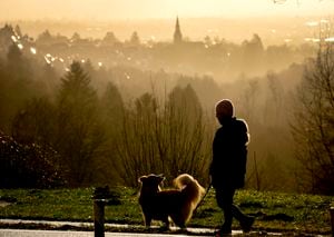A woman walks her dog above the city of Kronberg, Germany, Monday, Feb. 7, 2022. (AP Photo/Michael Probst)