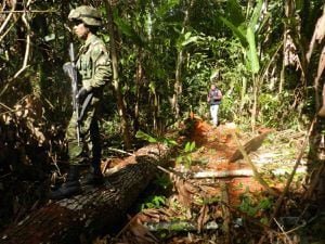 Las fuerzas militares desmantelaron un centro de operaciones ilícitas, dedicado a la extracción de oro, procesamiento de coca y tala de bosque. Foto: Ejército Nacional