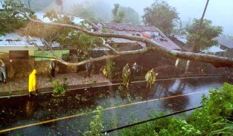 Un árbol cayó sobre una vivienda en El Salvador, por cuenta del paso del Huracán Julia