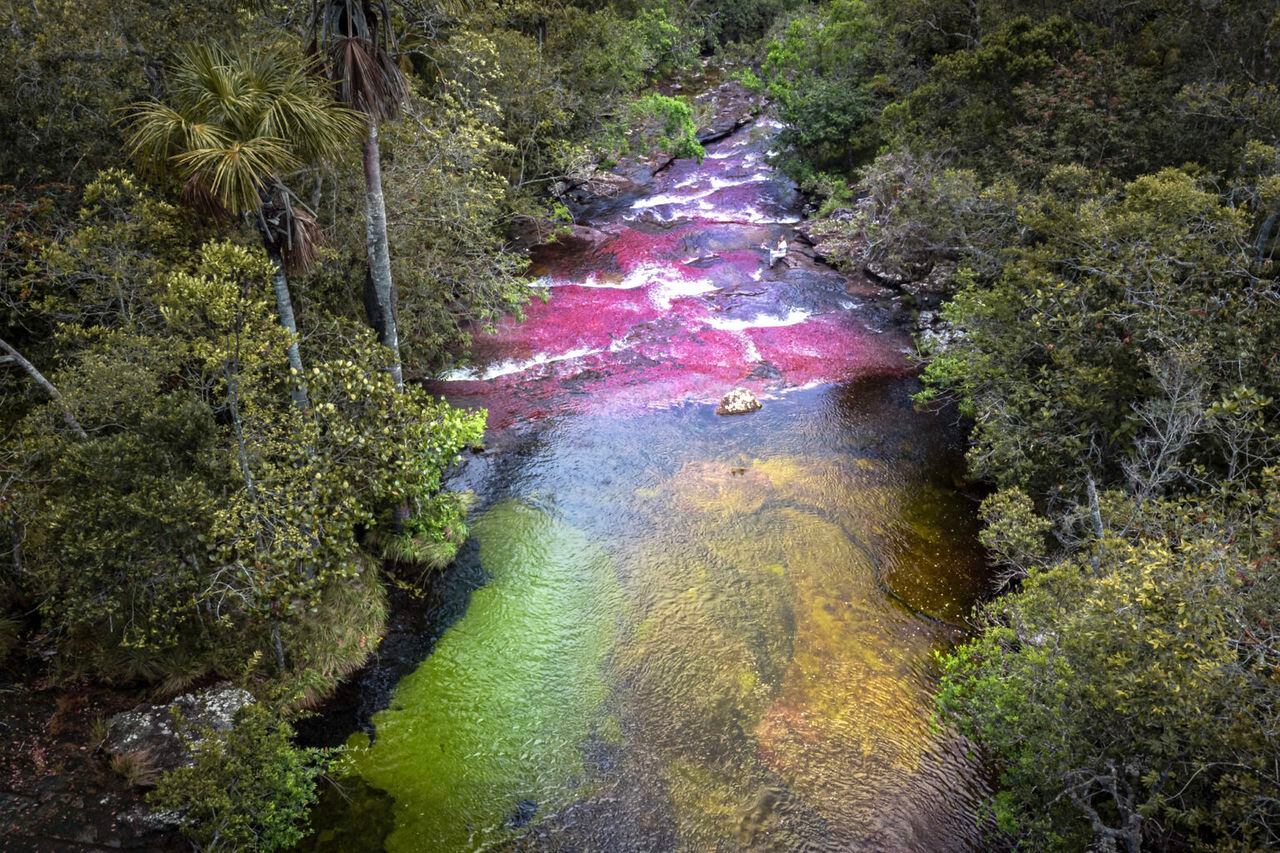 Por el efecto visual y colores que generan sus aguas, rocas y algas rosadas, Caño Cristales también ha sido llamado como 'el arcoíris que se derritió'.