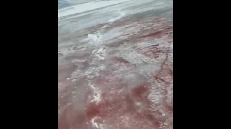 Glaciar se tiñe de rojo en Rusia, ¿por qué?