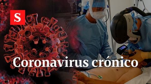 Coronavirus crónico