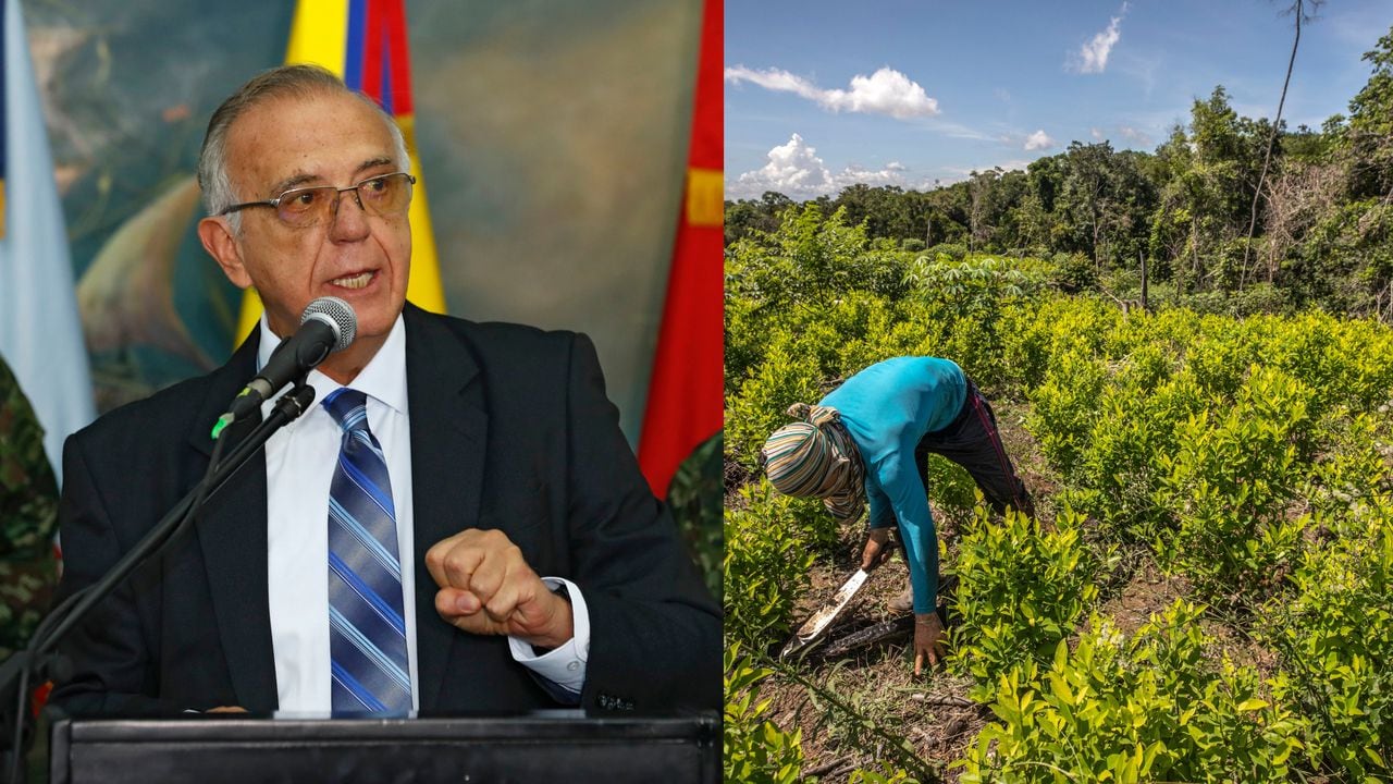 El ministro de Defensa, Iván Velásquez, dijo que las acciones no deben dirigirse a los "campesinos pobres que cultivan la coca", sino hacia los cabecillas del narcotráfico que se lucran con el negocio.