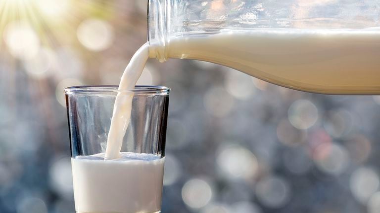 La leche es un alimento que está compuesto de grasa.