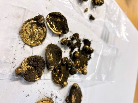 Un experto en ese tipo de pendientes, el profesor Sigmund Oehrl, del mismo museo, dijo que hasta el momento se han encontrado unos 1.000 bracteatos de oro en Noruega, Suecia y Dinamarca.