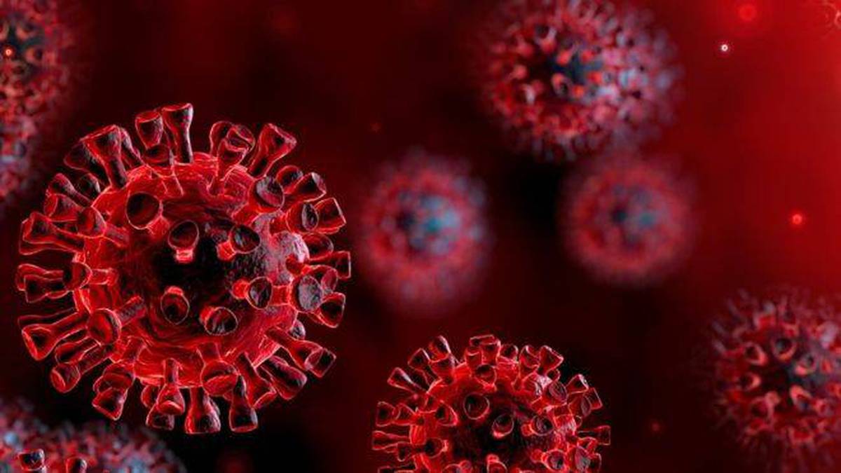 Qué tan eficaces son las vacunas anticovid con las nuevas cepas del  coronavirus Nelly y Erick?