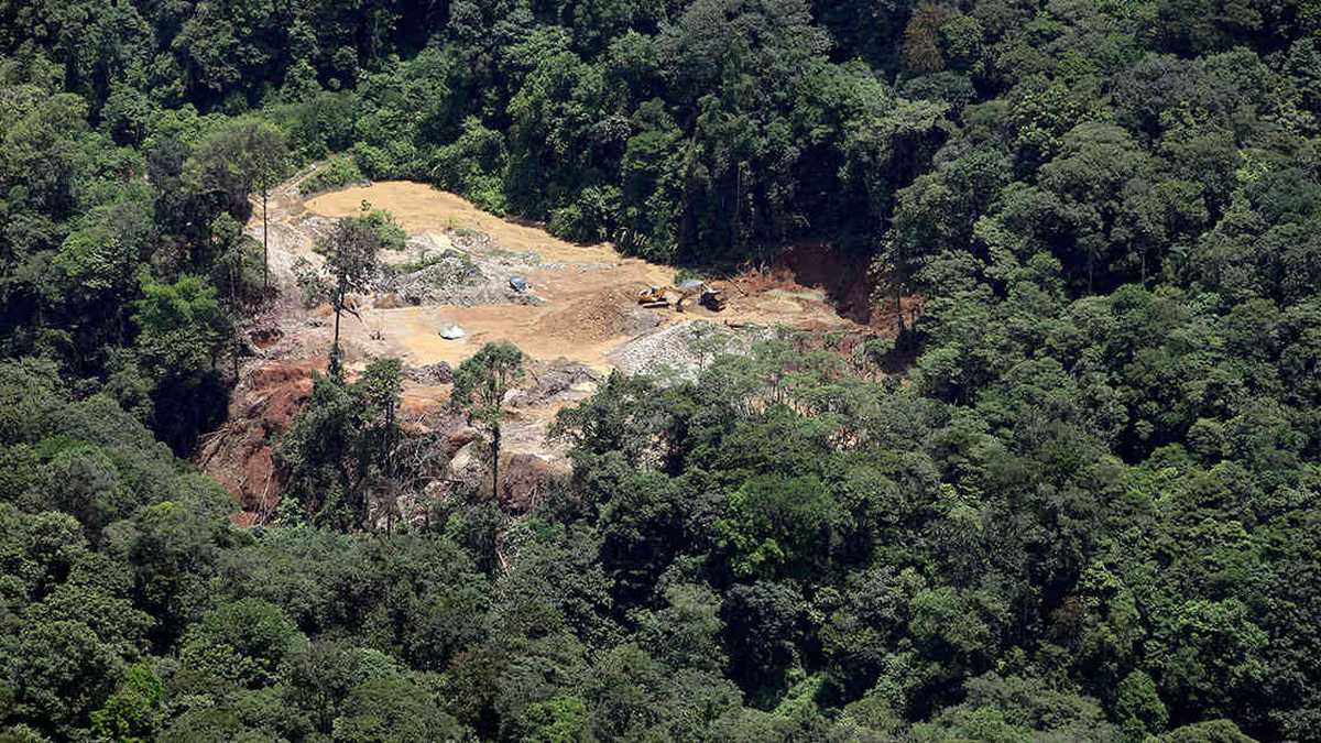 En 2017 la cifra de deforestación llegó a 220.000 hectáreas. Foto: archivo/Semana.com