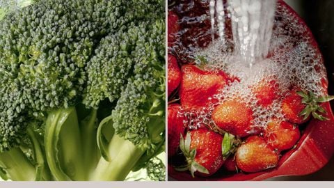 Brócoli y fresas deben estar dentro de la alimentación de las personas de la tercera edad