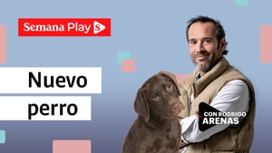 Nuevo perro | Rodrigo Arenas en EduCANdo Manadas