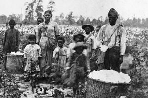 EL SUBTÍTULO ORIGINAL LEE: ¿Familia de esclavos recogiendo algodón en los campos cerca de Savannah, 186-? Stereograph, Havens, Savannah.