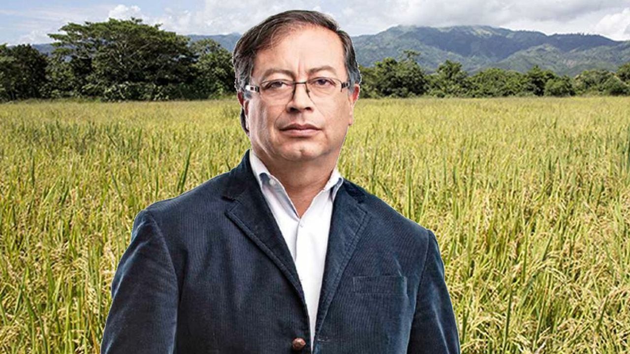 El presidente electo Gustavo Petro ha prometido una reforma de fondo en el agro.
