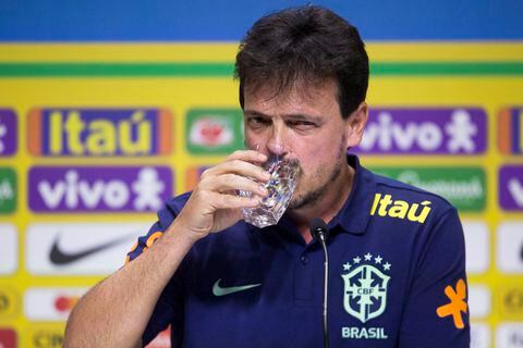 Fernando Diniz, entrenador de Brasil