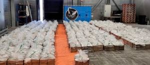 ARCHIVO - En esta foto de archivo difundida el 10 de agosto de 2023 por la Fiscalía de Rotterdam se muestra la incautación de 8.000 kilos de cocaína en Rotterdam, Países Bajos. Las autoridades aduaneras de Países Bajos dijeron el 10 de agosto que interceptaron un cargamento de más de 8.000 kilos de cocaína en el puerto de Rotterdam y, de acuerdo con los fiscales, la droga estaba escondida en un contenedor de banano procedente de Ecuador el 13 de julio. (Openbaar Ministerie, Fiscalía de Países Bajos vía AP, Archivo)