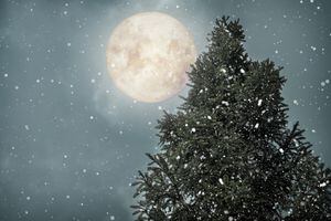 Árbol de Navidad con fondo de luna llena en invierno. Fondo de vacaciones de Navidad y año nuevo. tono de color vintage.