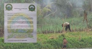 El grupo armado ilegal señala que si los invasores no desocupan la tierra en  días "intervendrán militarmente".