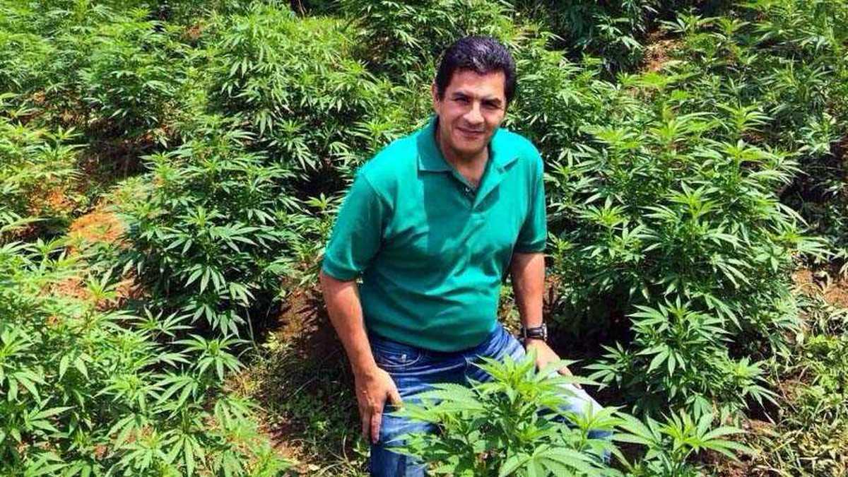 Jorge Iván Ospina ha sido un acérrimo defensor de la legalización del uso del cannabis.