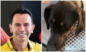Jhonny Rivera le salvó la vida a una perrita