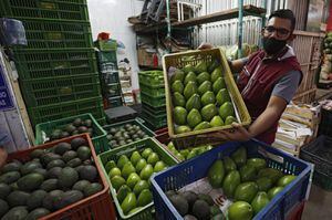 Solo en 2020 se exportaron desde Colombia más de 67.000 toneladas de aguacate hass.